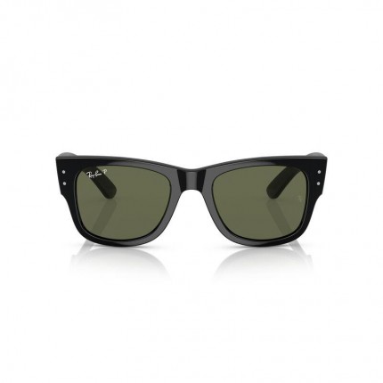 Ray-Ban  RB0840S